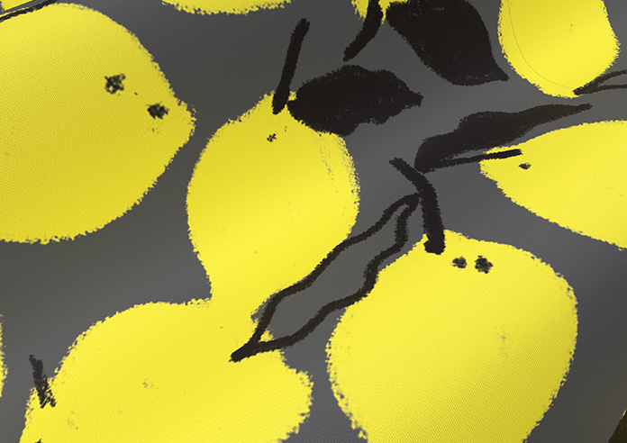 Lemons, Onyx - Twist&Fit Roller Blind - Image 4